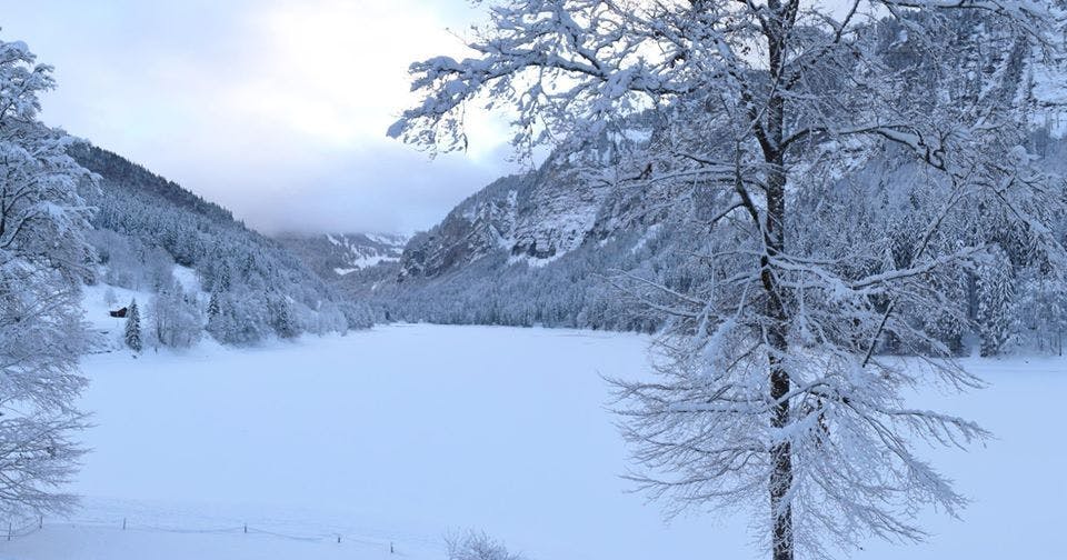 morzine hiver lac de Montriond